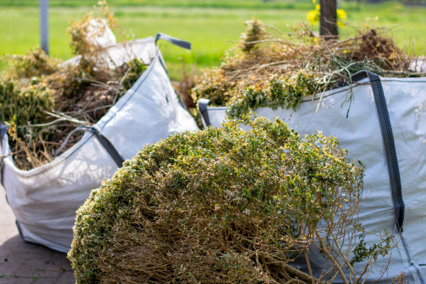 Best Affordable Junk Removal Services  in Creve Coeur, IL