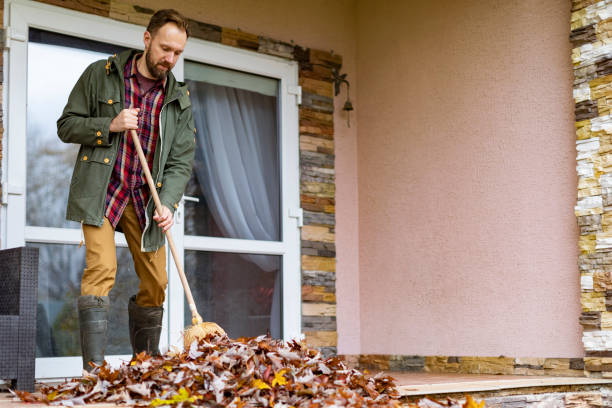 Best Professional Junk Removal  in Creve Coeur, IL